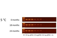 Figur 6 Stability Test